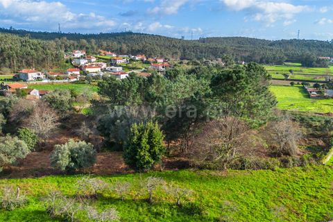 Helårsgrund i Barcelos, Braga, Barcelos - € 110.000 | Ref: 254260656 - foto 8