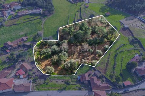 Helårsgrund i Barcelos, Braga, Barcelos - € 110.000 | Ref: 254260656 - foto 9