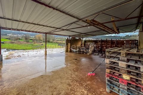 Erhvervsejendom i Barcelos, Braga, Barcelos - € 265.000 | Ref: 254260675 - foto 7