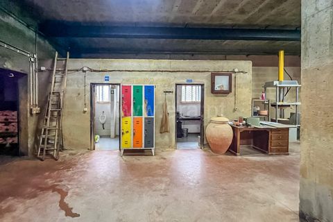 Erhvervsejendom i Barcelos, Braga, Barcelos - € 265.000 | Ref: 254260675 - foto 10