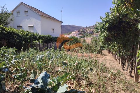 Villa en Arganil, Coimbra, Arganil - € 145.000 | Ref: CAS_114 - photo 3