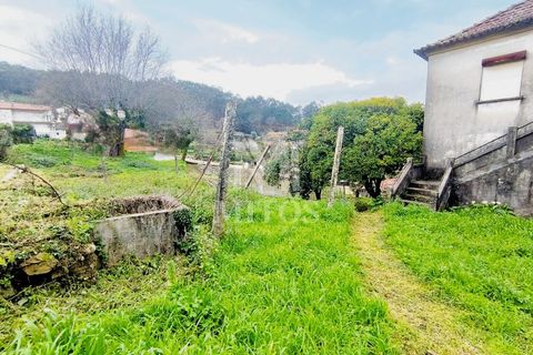 Villa i Barcelos, Braga, Barcelos - € 220.000 | Ref: S239 - foto 8