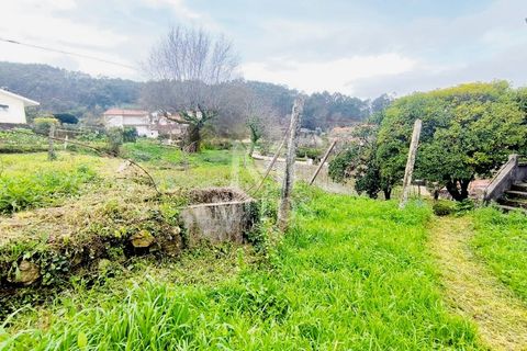 Villa i Barcelos, Braga, Barcelos - € 220.000 | Ref: S239 - foto 9