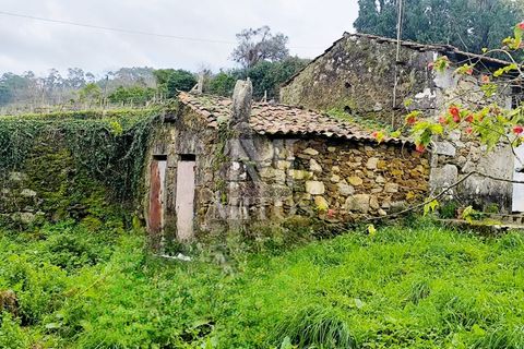 Villa i Barcelos, Braga, Barcelos - € 220.000 | Ref: S239 - foto 28