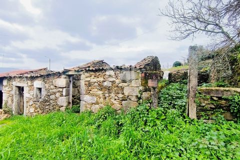 Villa i Barcelos, Braga, Barcelos - € 220.000 | Ref: S239 - foto 33