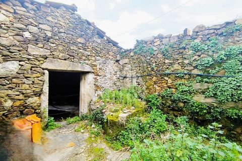 Villa i Barcelos, Braga, Barcelos - € 220.000 | Ref: S239 - foto 35