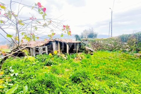 Villa i Barcelos, Braga, Barcelos - € 220.000 | Ref: S239 - foto 37