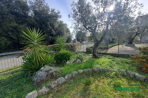 Byhus i Amelia, Terni, Amelia - € 170.000 | Ref: .25. - foto 5