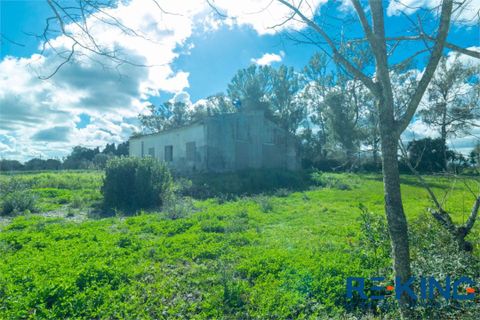 Herregård i Otranto, Lecce, Otranto - € 190 000 | Ref: VR308 - foto 8