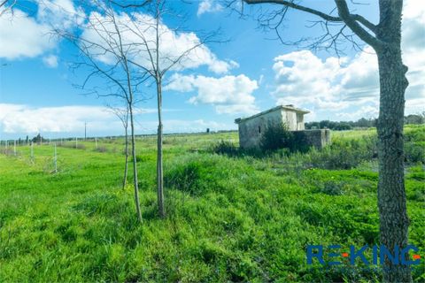 Herregård i Otranto, Lecce, Otranto - € 190 000 | Ref: VR308 - foto 10