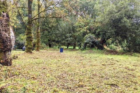 Landejendom i Mael-Pestivien, Cotes-d'Armor, Mael-Pestivien - € 133.250 | Ref: 560022083 - foto 30