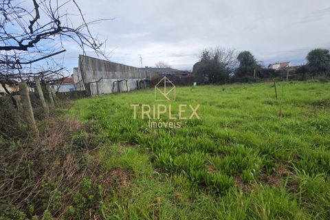 Helårsgrund i Maia, Porto, Maia - € 225.000 | Ref: 338 - foto 7