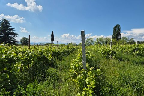 Helårsgrund i Lazise, Verona, Lazise - € 195.000 | Ref: 243 - foto 2