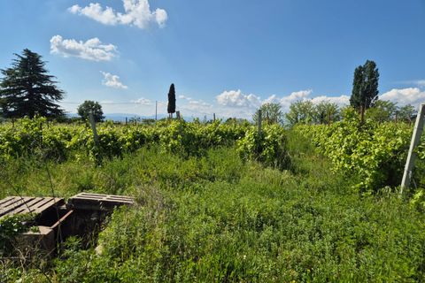 Helårsgrund i Lazise, Verona, Lazise - € 195.000 | Ref: 243 - foto 5