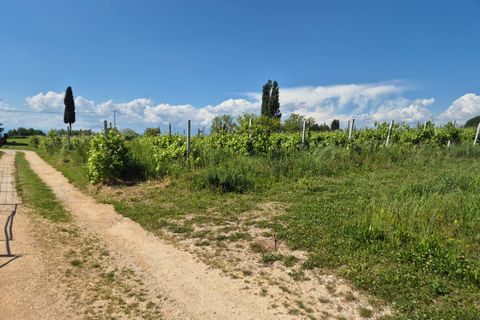 Helårsgrund i Lazise, Verona, Lazise - € 195.000 | Ref: 243 - foto 8