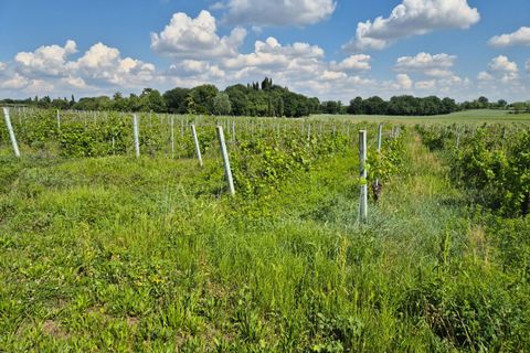 Helårsgrund i Lazise, Verona, Lazise - € 195.000 | Ref: 243 - foto 9