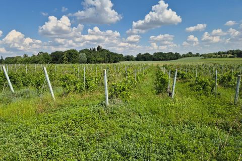 Helårsgrund i Lazise, Verona, Lazise - € 65.000 | Ref: 244 - foto 6