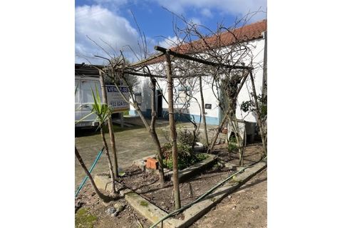 Landejendom i Ponte de Sor, Portalegre, Ponte de Sor - € 125.000 | Ref: 988 - foto 14