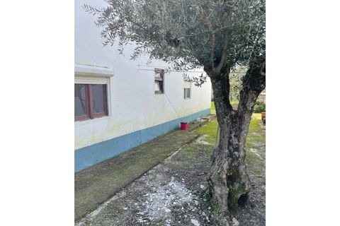Landejendom i Ponte de Sor, Portalegre, Ponte de Sor - € 125.000 | Ref: 988 - foto 17