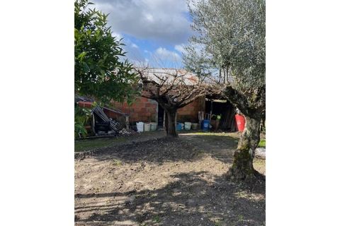 Landejendom i Ponte de Sor, Portalegre, Ponte de Sor - € 125.000 | Ref: 988 - foto 19