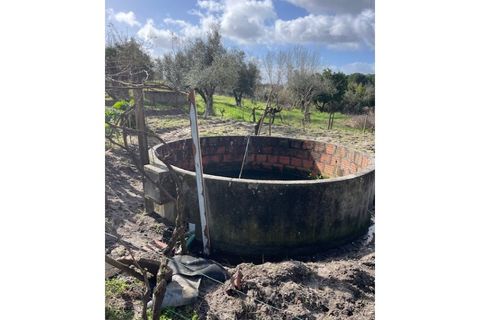 Landejendom i Ponte de Sor, Portalegre, Ponte de Sor - € 125.000 | Ref: 988 - foto 22
