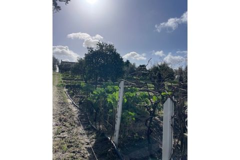 Landejendom i Ponte de Sor, Portalegre, Ponte de Sor - € 125.000 | Ref: 988 - foto 23