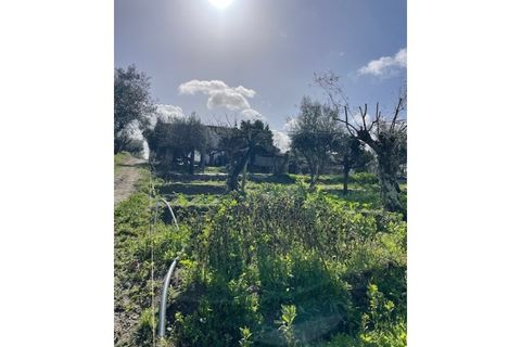 Landejendom i Ponte de Sor, Portalegre, Ponte de Sor - € 125.000 | Ref: 988 - foto 24