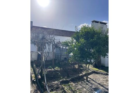 Landejendom i Ponte de Sor, Portalegre, Ponte de Sor - € 125.000 | Ref: 988 - foto 25
