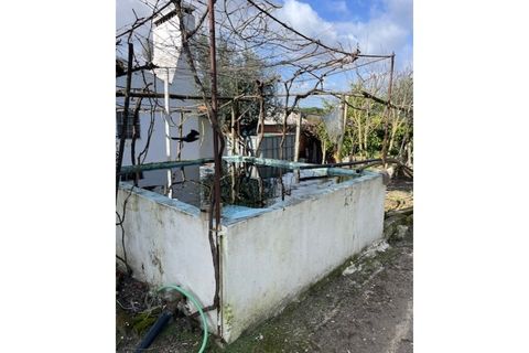 Landejendom i Ponte de Sor, Portalegre, Ponte de Sor - € 125.000 | Ref: 988 - foto 26