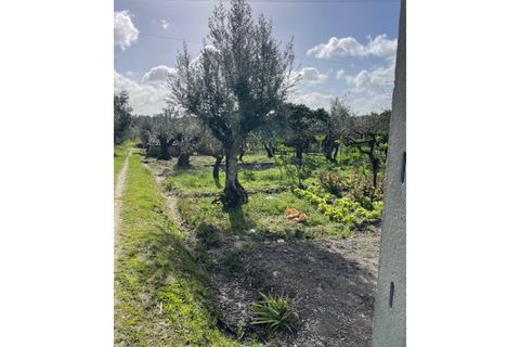 Landejendom i Ponte de Sor, Portalegre, Ponte de Sor - € 125.000 | Ref: 988 - foto 27