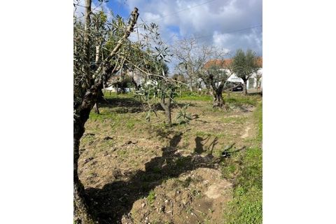 Landejendom i Ponte de Sor, Portalegre, Ponte de Sor - € 125.000 | Ref: 988 - foto 28