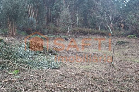 Landejendom i Ceivaes e Badim, Viana do Castelo, Ceivaes e Badim - € 67.000 | Ref: SAFTI:007805 - foto 5