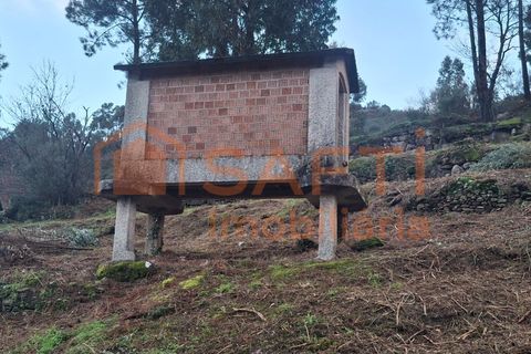 Landejendom i Ceivaes e Badim, Viana do Castelo, Ceivaes e Badim - € 67.000 | Ref: SAFTI:007805 - foto 7