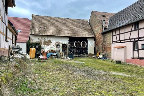 Terra a Berstett, Bas-Rhin, Berstett - € 288.400 | Ref: 55_V1000063251 - foto 4