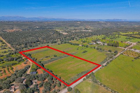 Terra a Manacor, Mallorca, Manacor - € 215.000 | Ref: 08MRGR001/10961 - foto 4