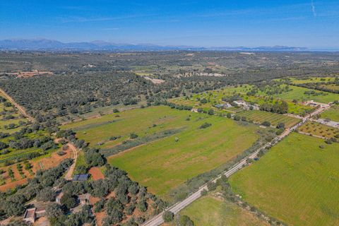 Terra a Manacor, Mallorca, Manacor - € 215.000 | Ref: 08MRGR001/10961 - foto 5