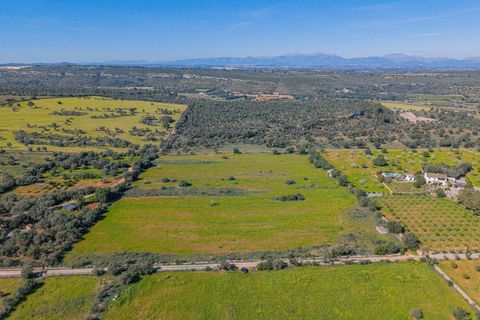 Terra a Manacor, Mallorca, Manacor - € 215.000 | Ref: 08MRGR001/10961 - foto 6