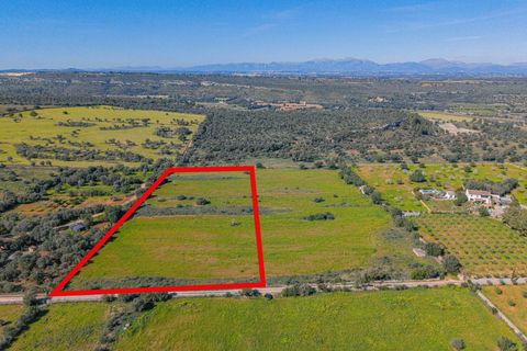 Terra a Manacor, Mallorca, Manacor - € 215.000 | Ref: 08MRGR001/10961 - foto 7