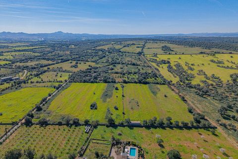 Terra a Manacor, Mallorca, Manacor - € 215.000 | Ref: 08MRGR001/10961 - foto 8