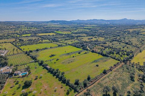 Terra a Manacor, Mallorca, Manacor - € 215.000 | Ref: 08MRGR001/10961 - foto 10