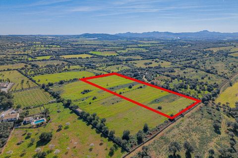 Terra a Manacor, Mallorca, Manacor - € 215.000 | Ref: 08MRGR001/10961 - foto 11