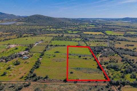 Terra a Manacor, Mallorca, Manacor - € 215.000 | Ref: 08MRGR001/10961 - foto 12