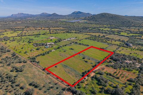 Terra a Manacor, Mallorca, Manacor - € 215.000 | Ref: 08MRGR001/10961 - foto 13