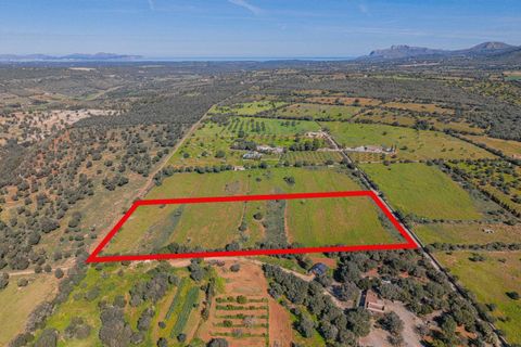 Terra a Manacor, Mallorca, Manacor - € 215.000 | Ref: 08MRGR001/10961 - foto 14