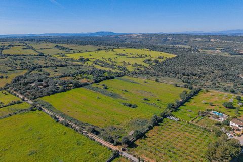 Terra a Manacor, Mallorca, Manacor - € 215.000 | Ref: 08MRGR001/10961 - foto 15