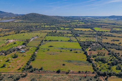 Terra a Manacor, Mallorca, Manacor - € 215.000 | Ref: 08MRGR001/10961 - foto 16