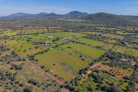 Terra a Manacor, Mallorca, Manacor - € 215.000 | Ref: 08MRGR001/10961 - foto 17