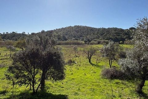 Helårsgrund i Castro Marim, Faro, Castro Marim - € 50.000 | Ref: 828385 - foto 2