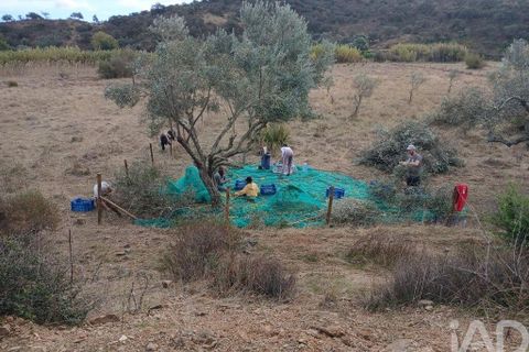 Helårsgrund i Castro Marim, Faro, Castro Marim - € 50.000 | Ref: 828385 - foto 8