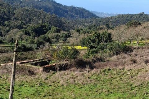 Helårsgrund i Alcobaca, Leiria, Alcobaca - € 65.000 | Ref: 826862 - foto 2